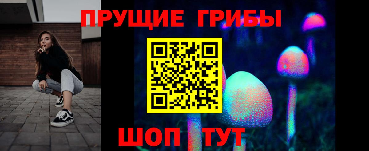Галлюциногенные грибы Psilocybe Протвино